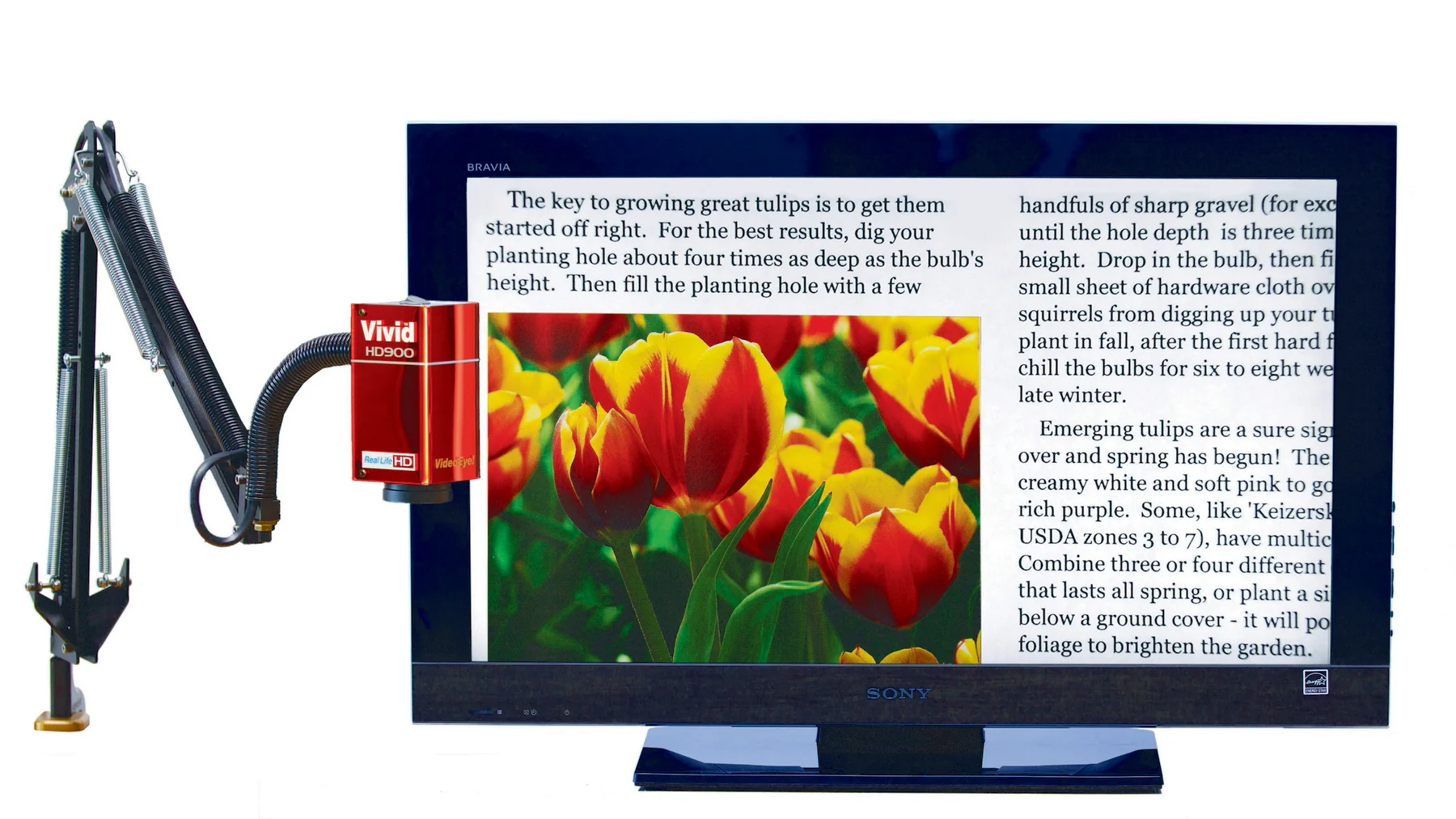 HD900 with Sony 32'' screen; IMG_1597; RGB.jpg