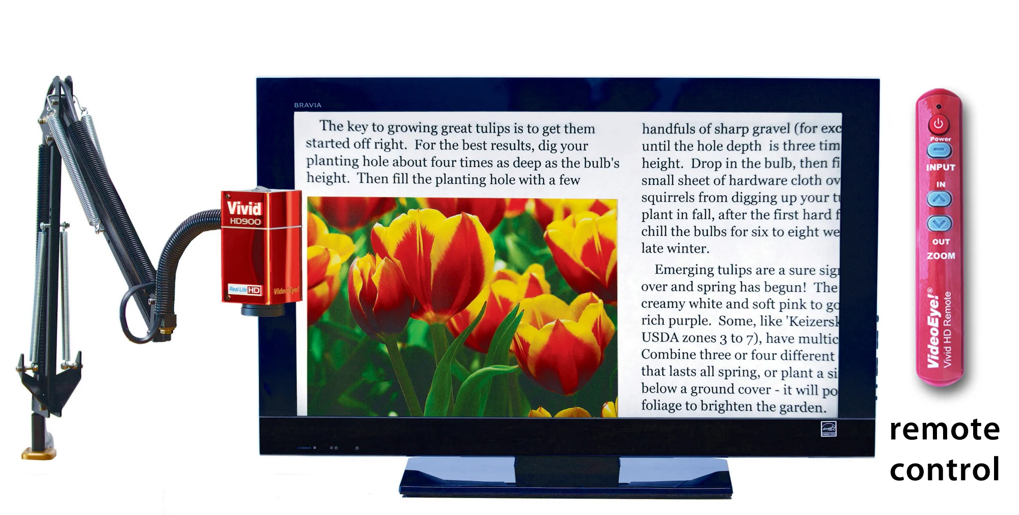 HD900 with Sony 32'' screen; IMG_1597; RGB.jpg