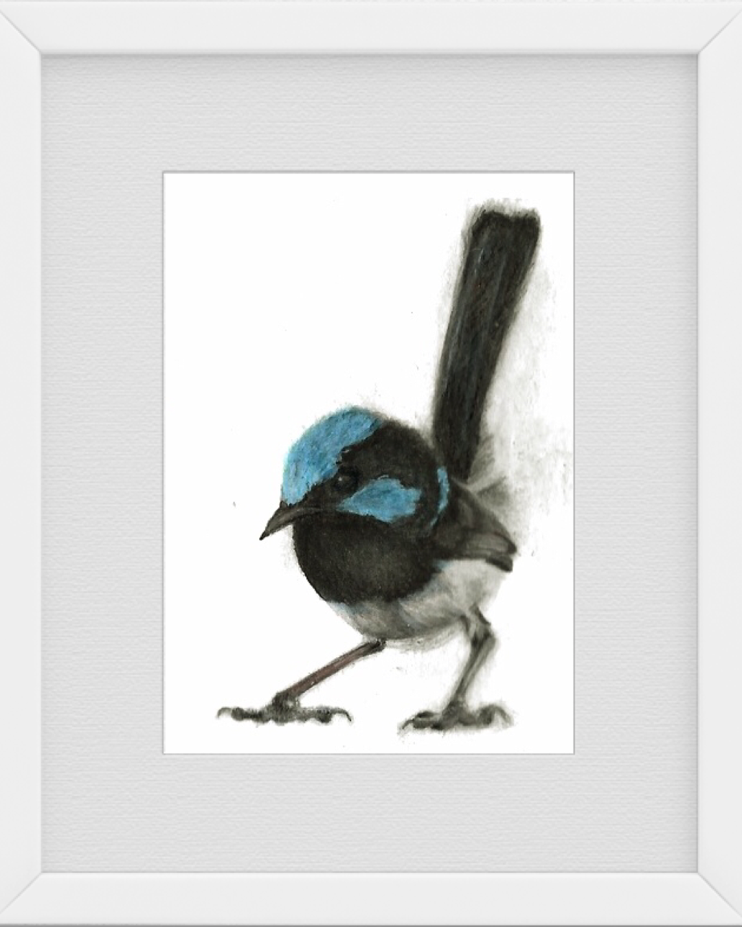 Lucky Blue Wren 