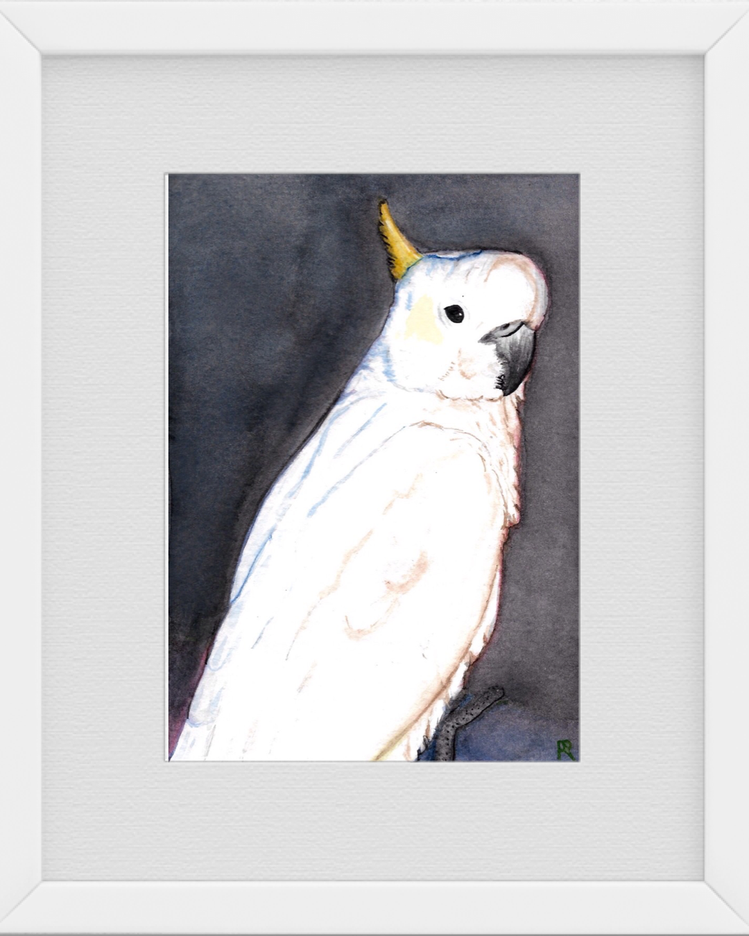 Don't feed the Birds