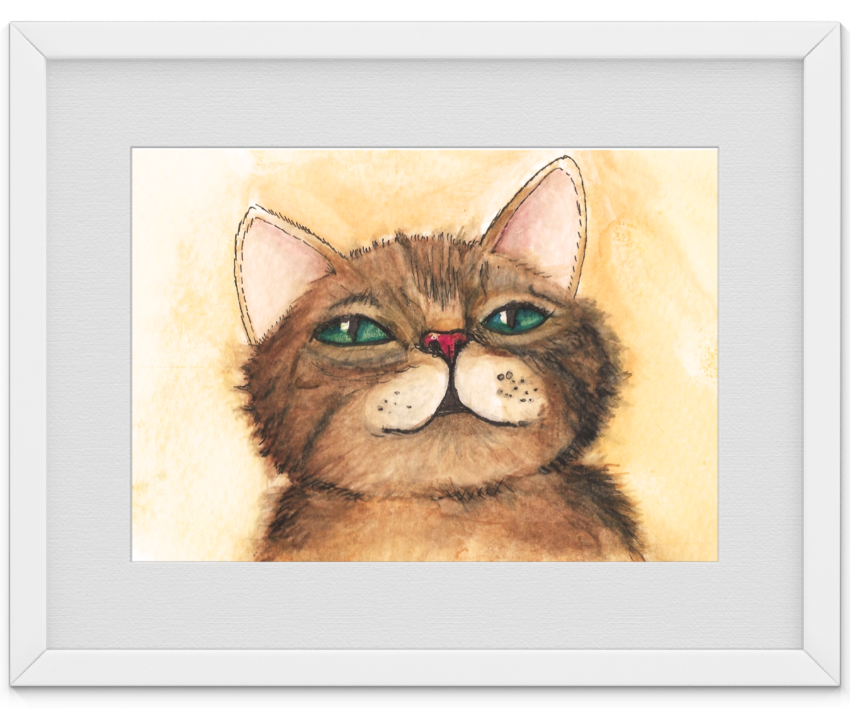 Steven the Cat- for my brothe