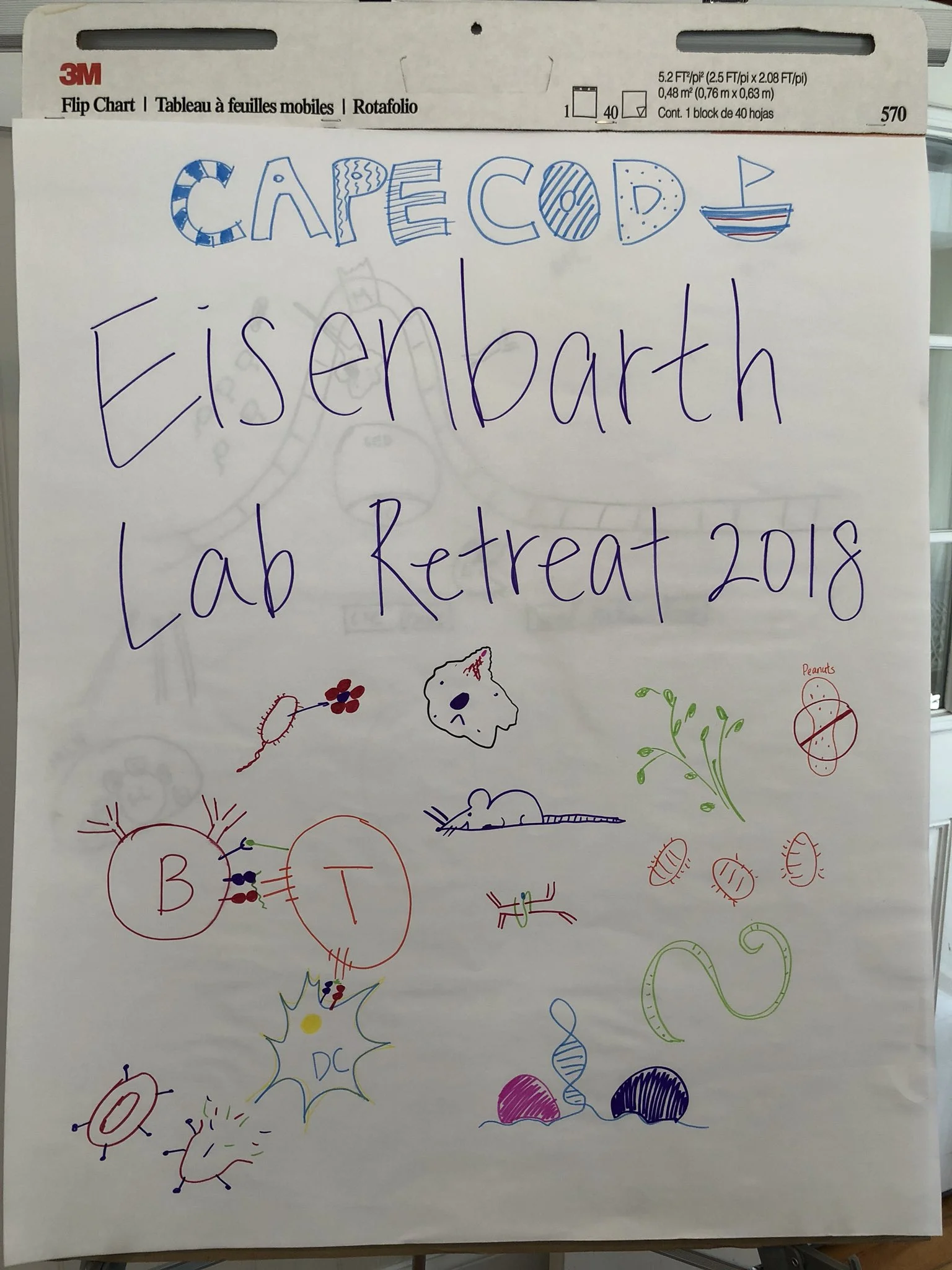 The Eisenbarth Lab Retreat, 2018