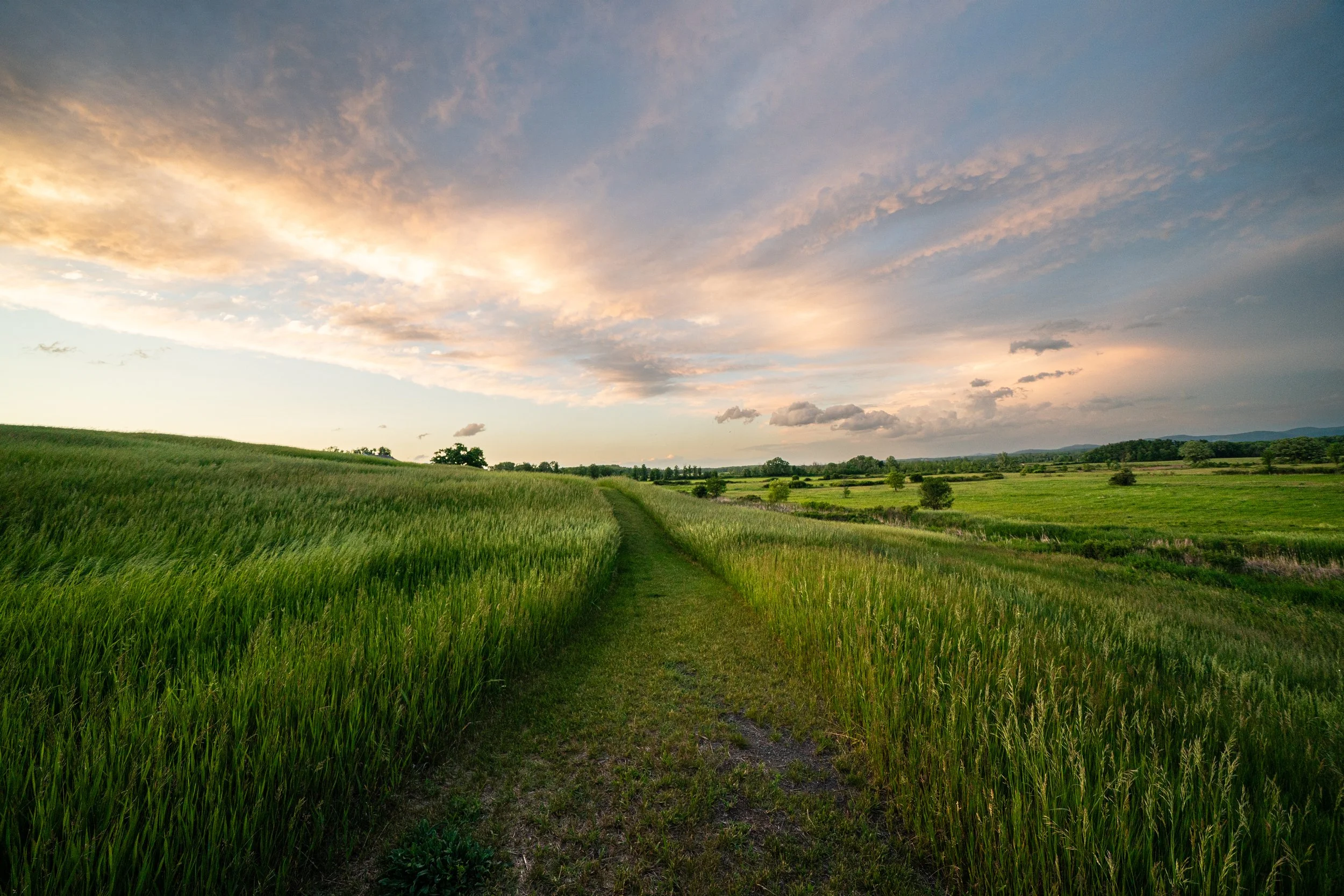 Alfred Z. Solomon Grassland Bird Trail