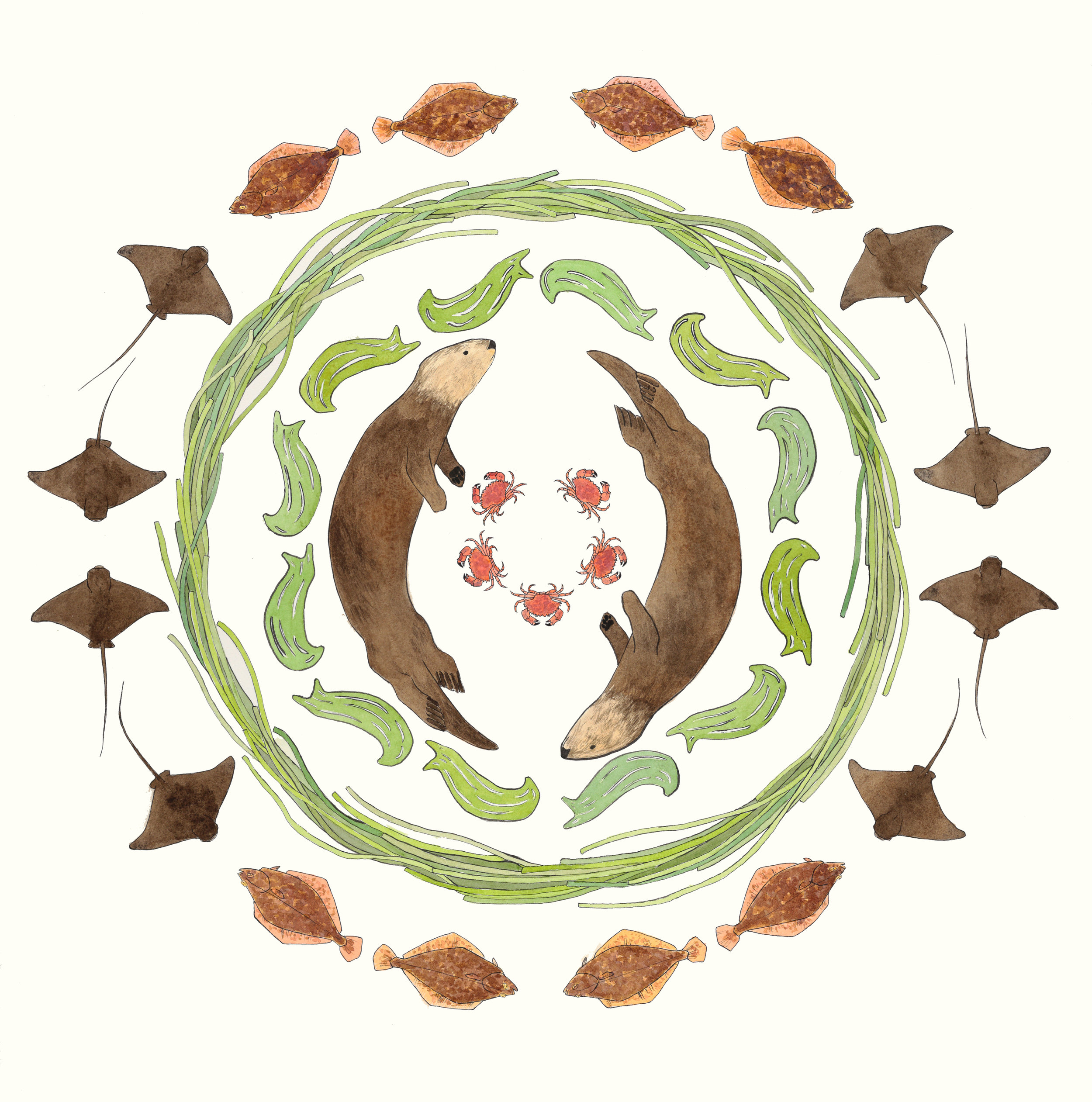 Otters and Eelgrass