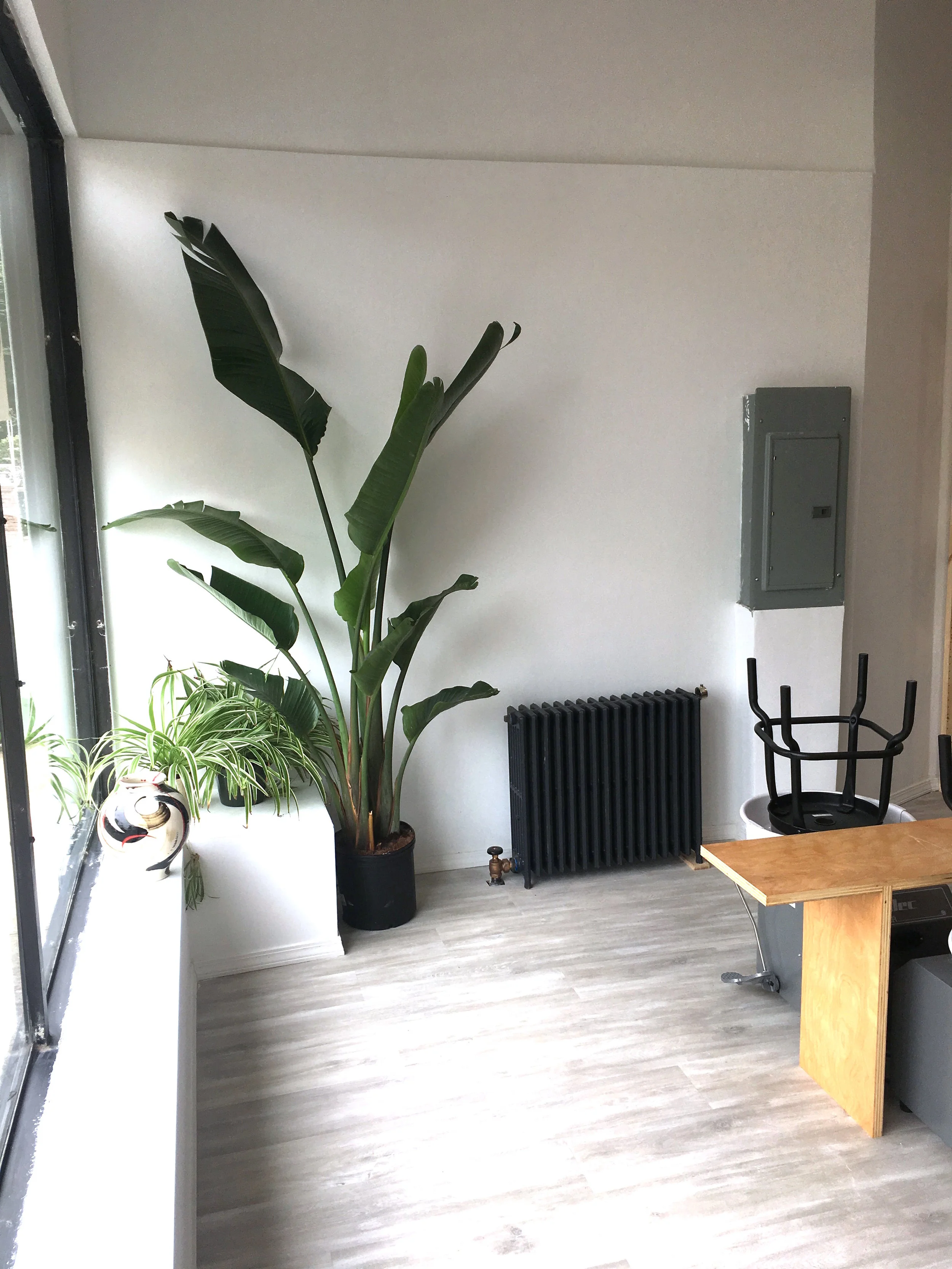 Studio — mouse ceramic studio