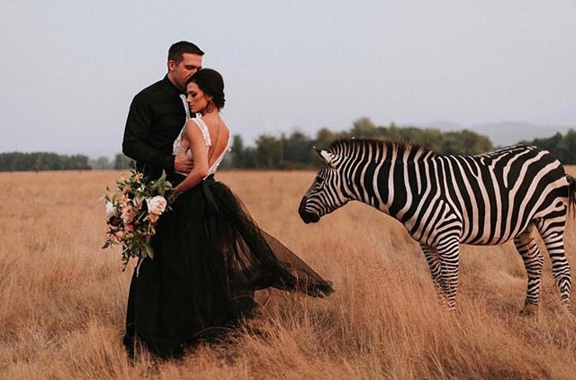Sometimes I have to pinch myself that I get to have a &ldquo;job&rdquo; I love so much. 
I mean seriously, it just keeps getting cooler 🦓🖤 Photo: @nicolebriannphoto 
Makeup: Yours Truly
Hair: @hair_by_alex.radekin 
Florals: @alibdesigns 
Dress: @sw