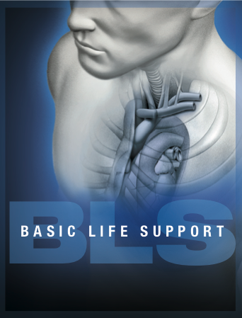 AHA_BLS_provider.png