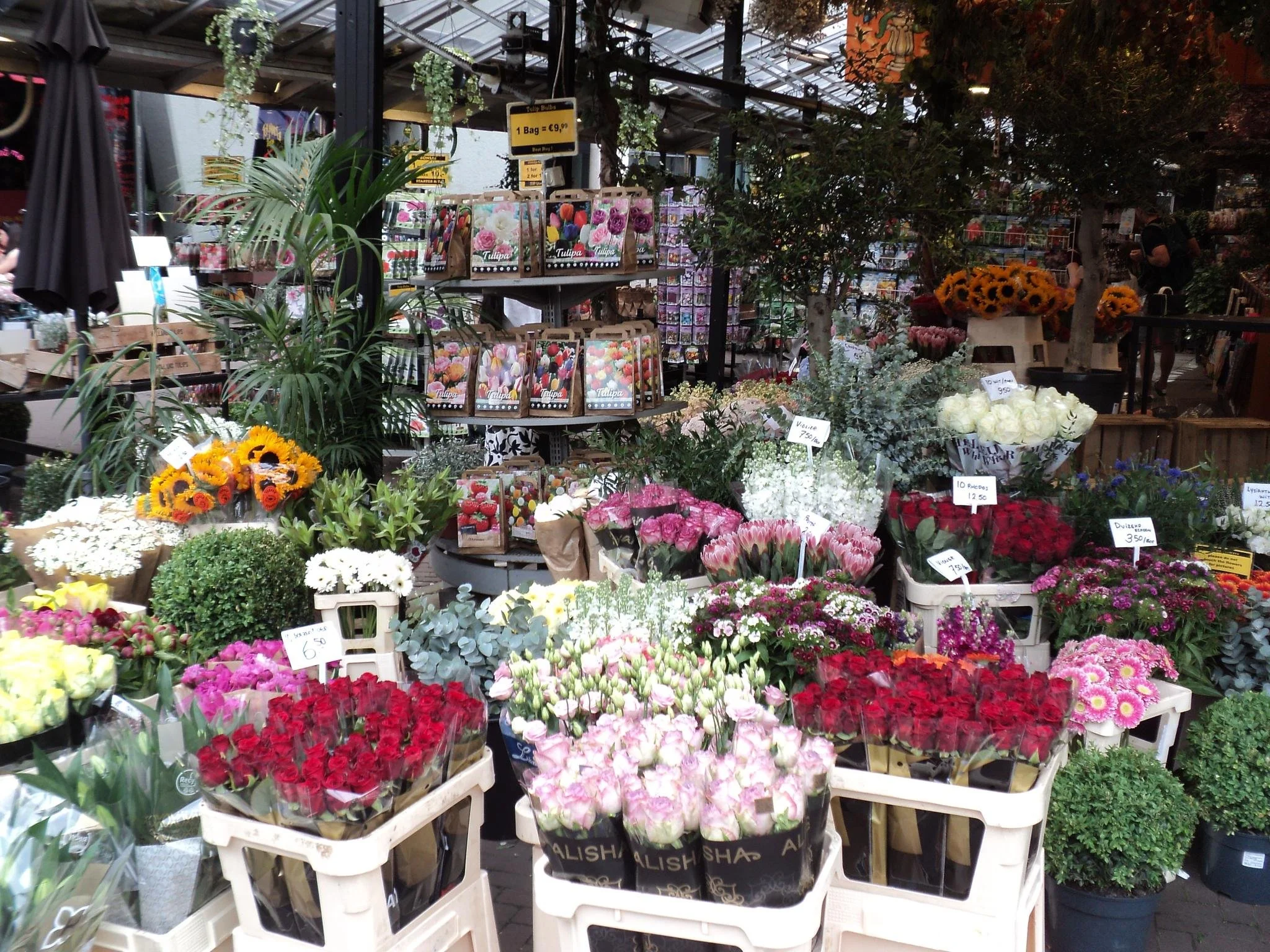 a digital camera image of a flower shop in Amsterdam