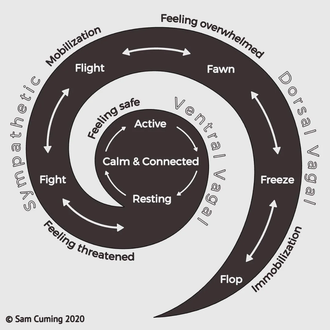 The Myth of Work-Life Balance in Severance: A Nervous System and Mental ...