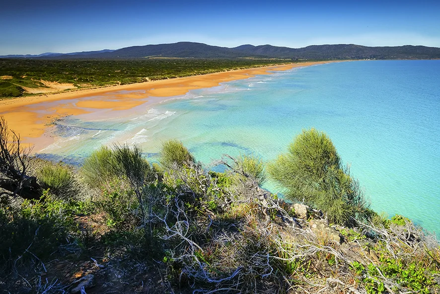 Narawntapu.jpg