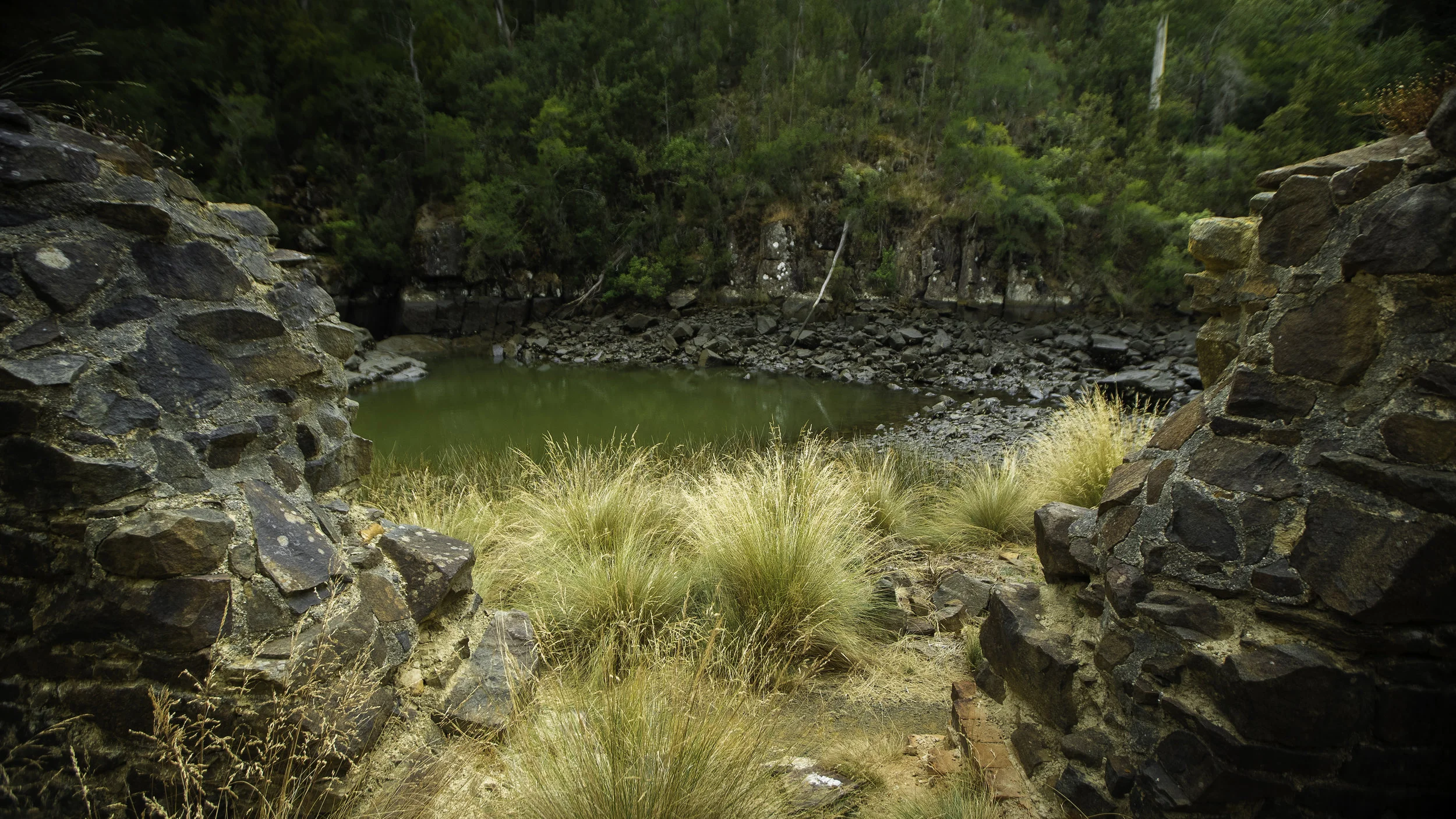 Nature — Tamar Valley Tasmania