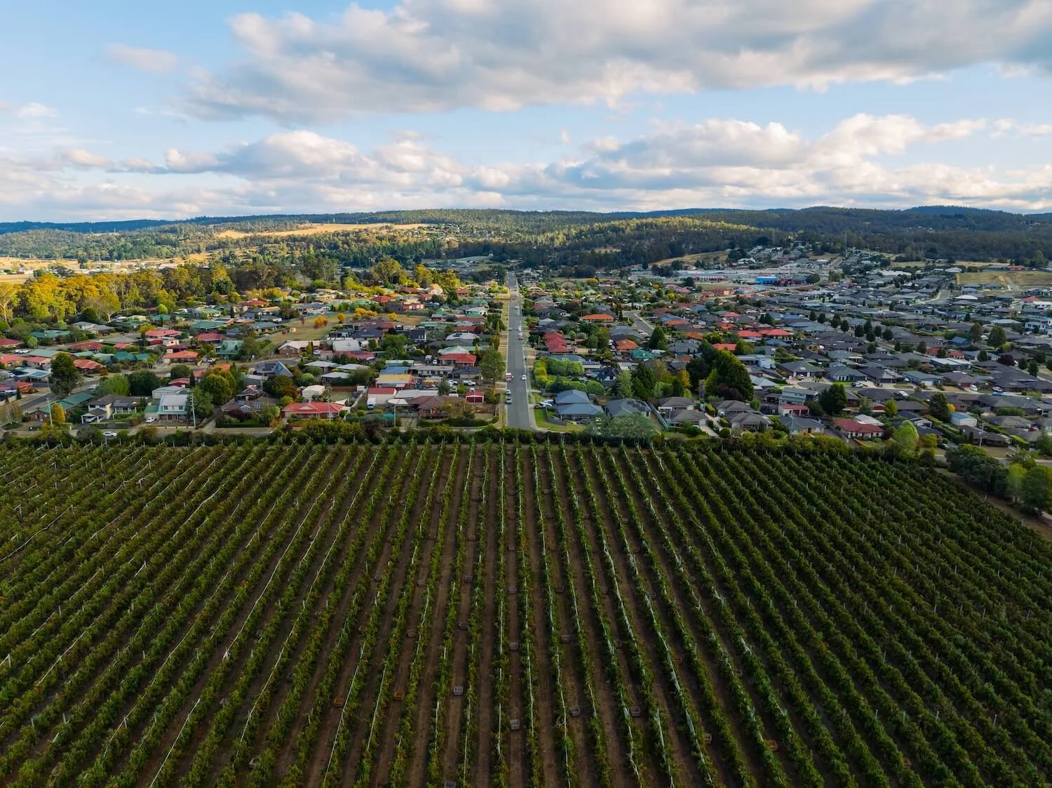 HERO 1_DJI_0711_E1 (1).jpg