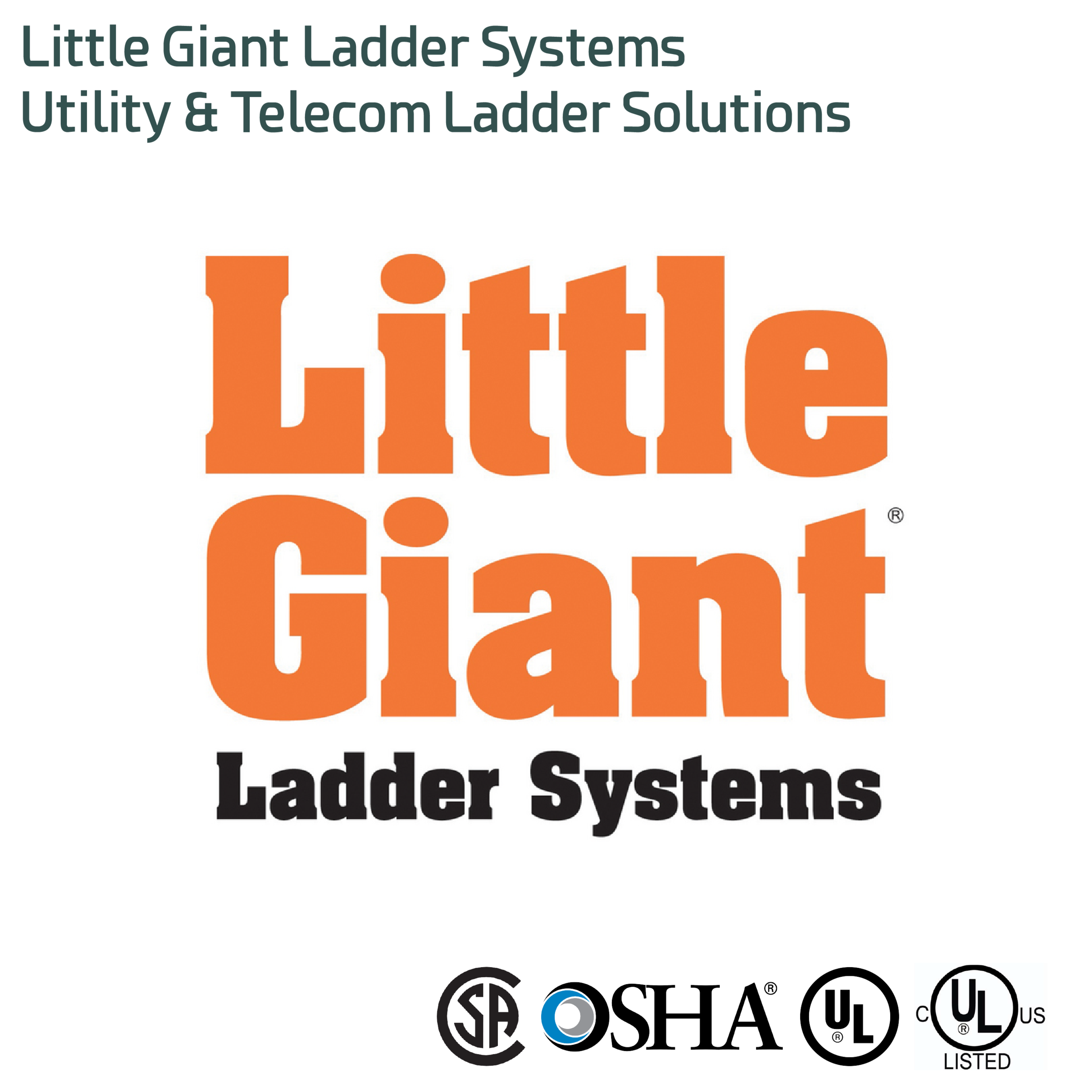 Little Giant.png