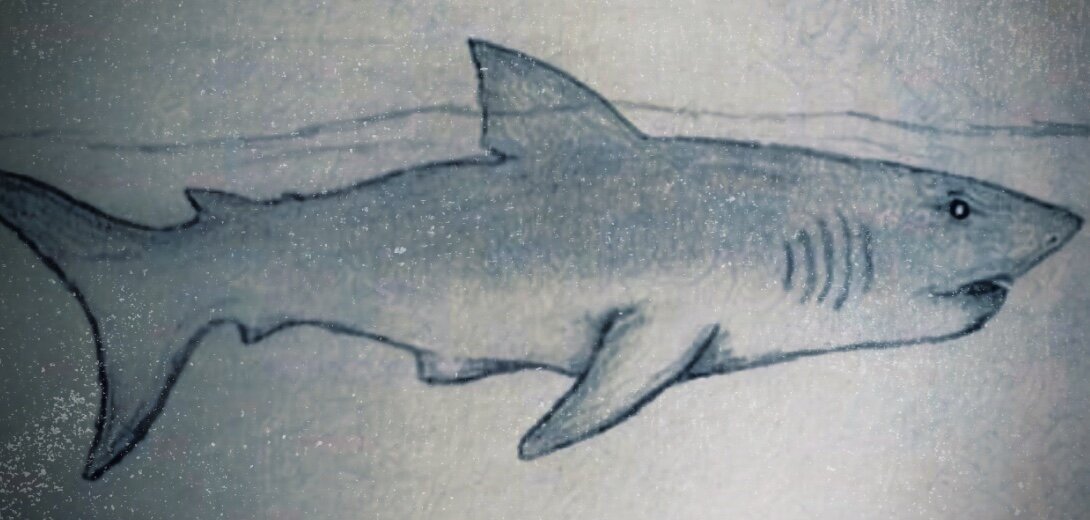 Titan Shark