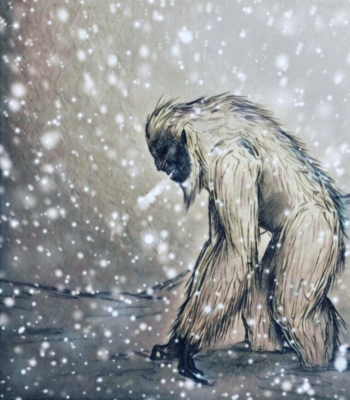 Northern Yeti