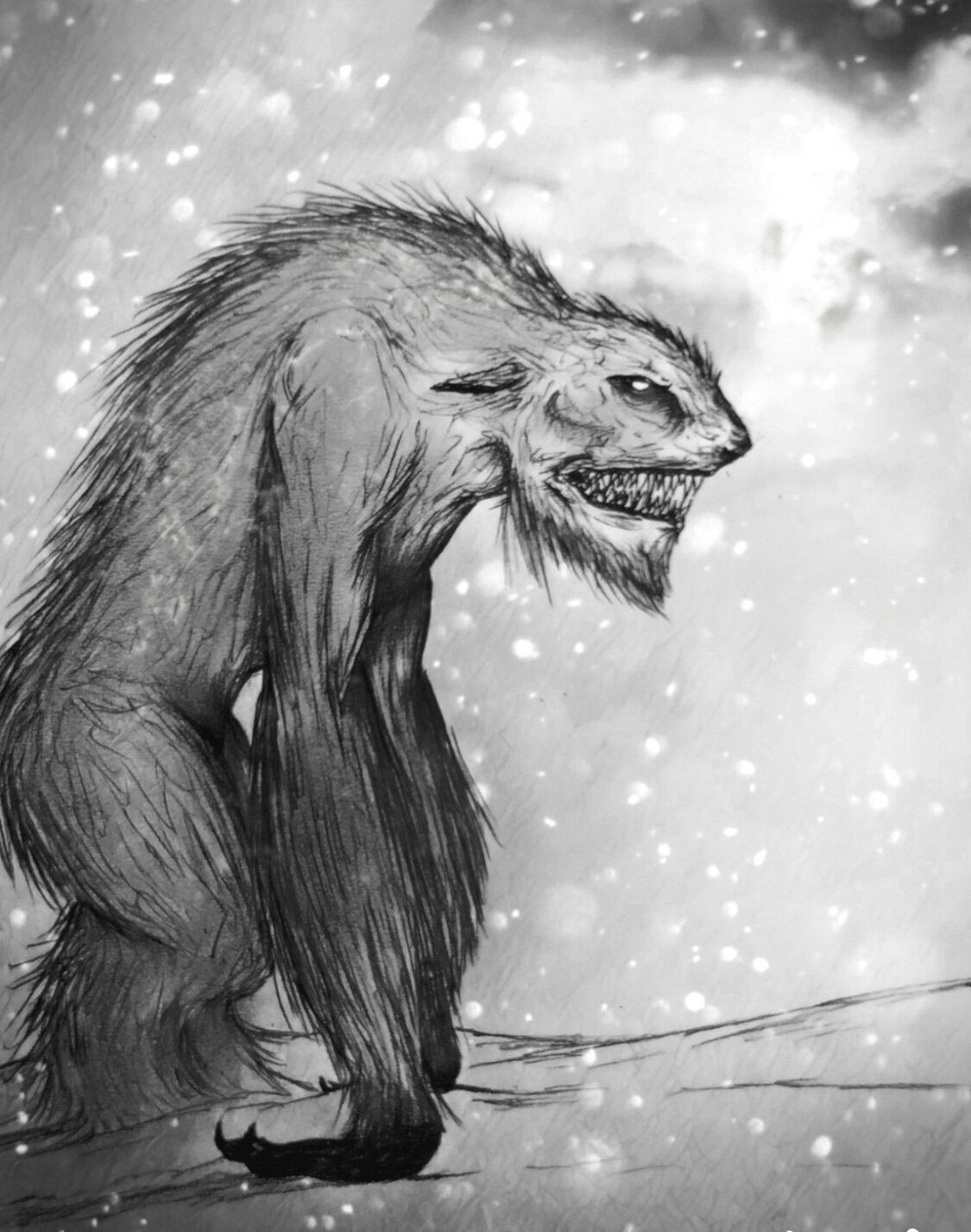 Northern Strider