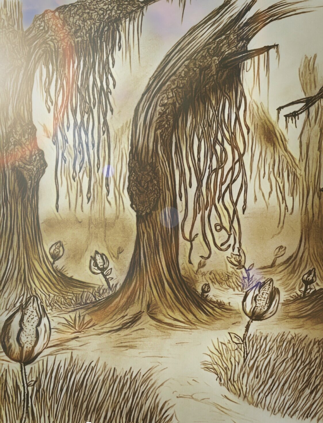 The Living Vines