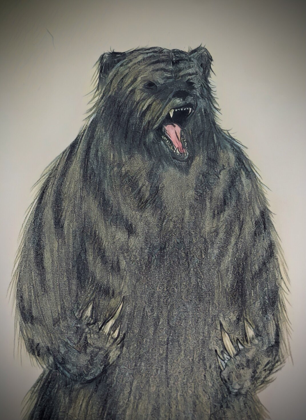 Slayer Bear