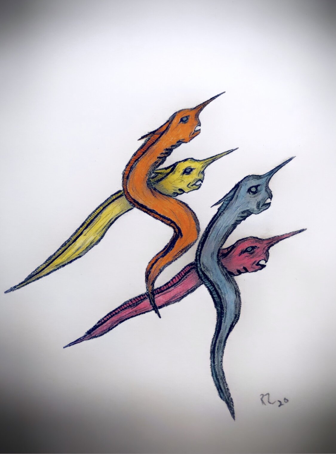 Ribbon Eels