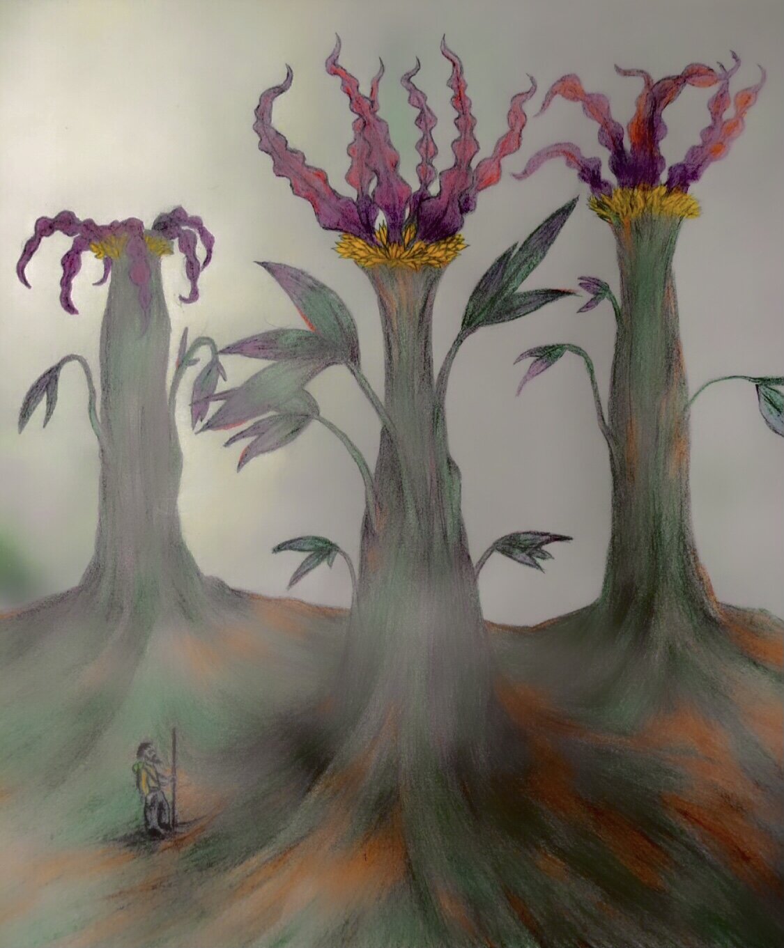 Kalya Plants