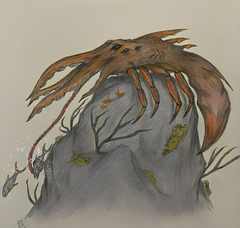 Reef Crawler