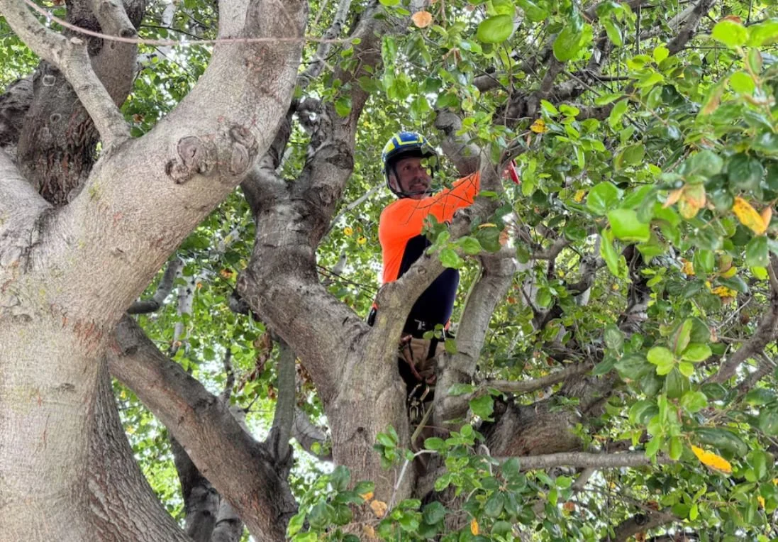 In a vise of slowing demand and rising costs, small businesses are signaling trouble ahead