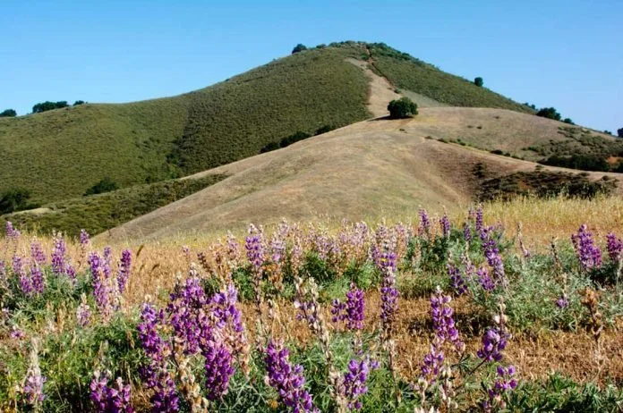 Morgan Hill, Open Space to collaborate on El Toro trail