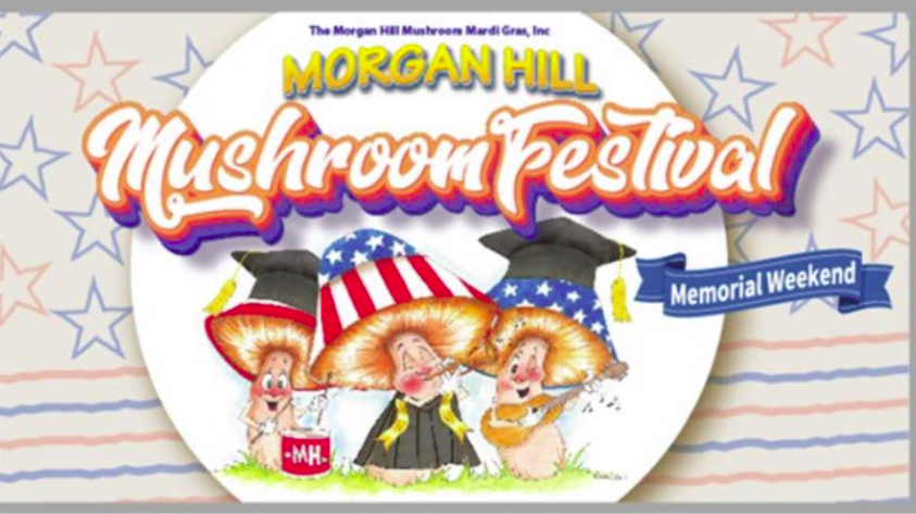 The Festival Star is the Mushroom