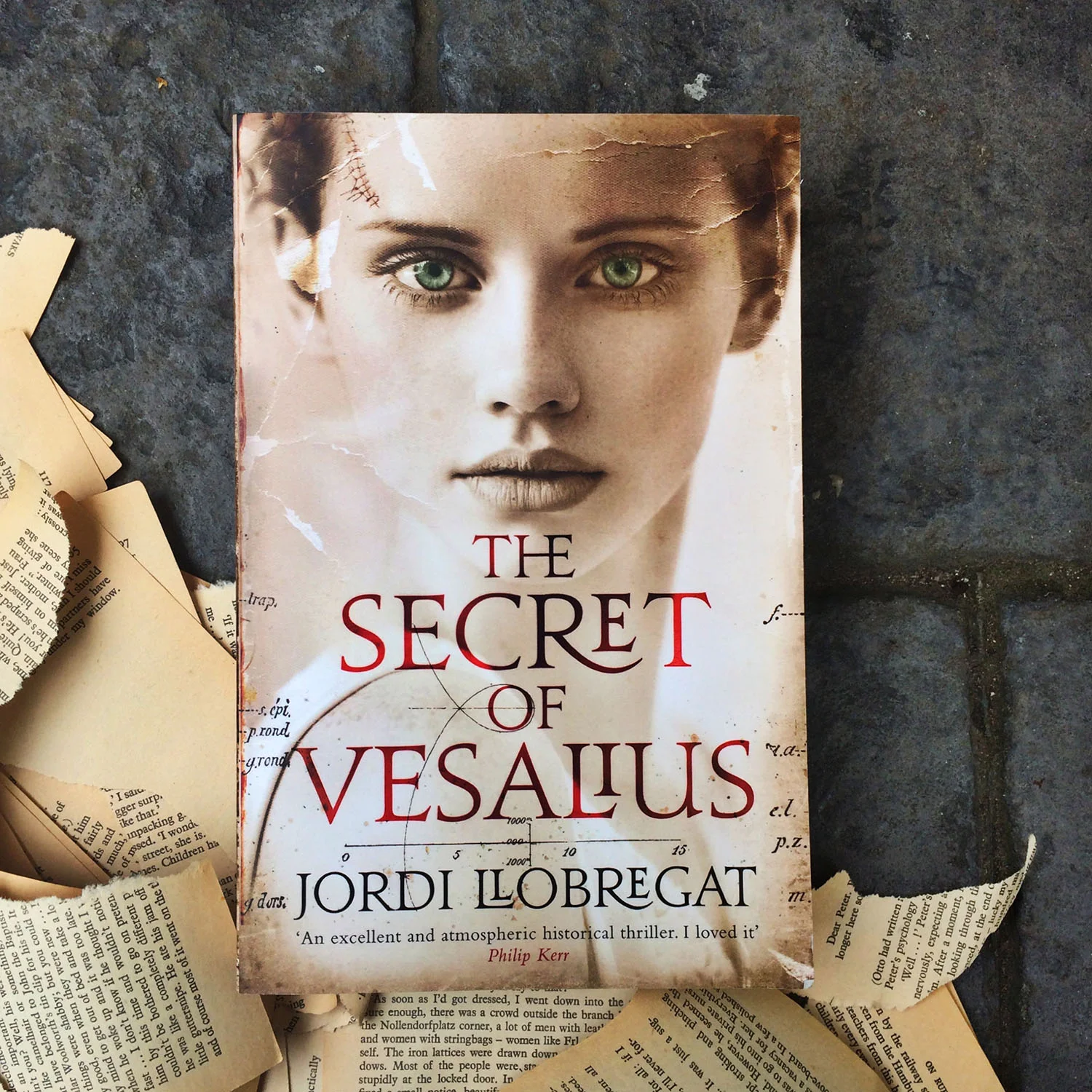 The Secret of Vesalius by Jordi Llobregat "I knew as soon as I held this book I was going to love it."