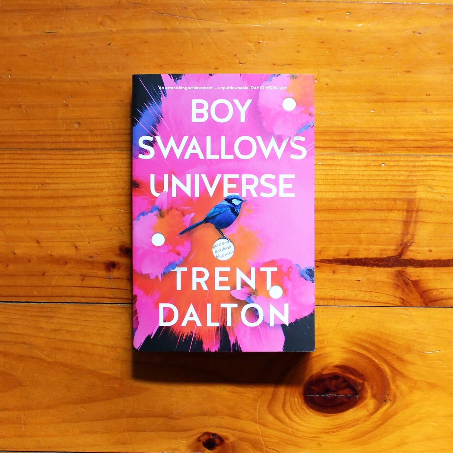 Boy Swallows Universe