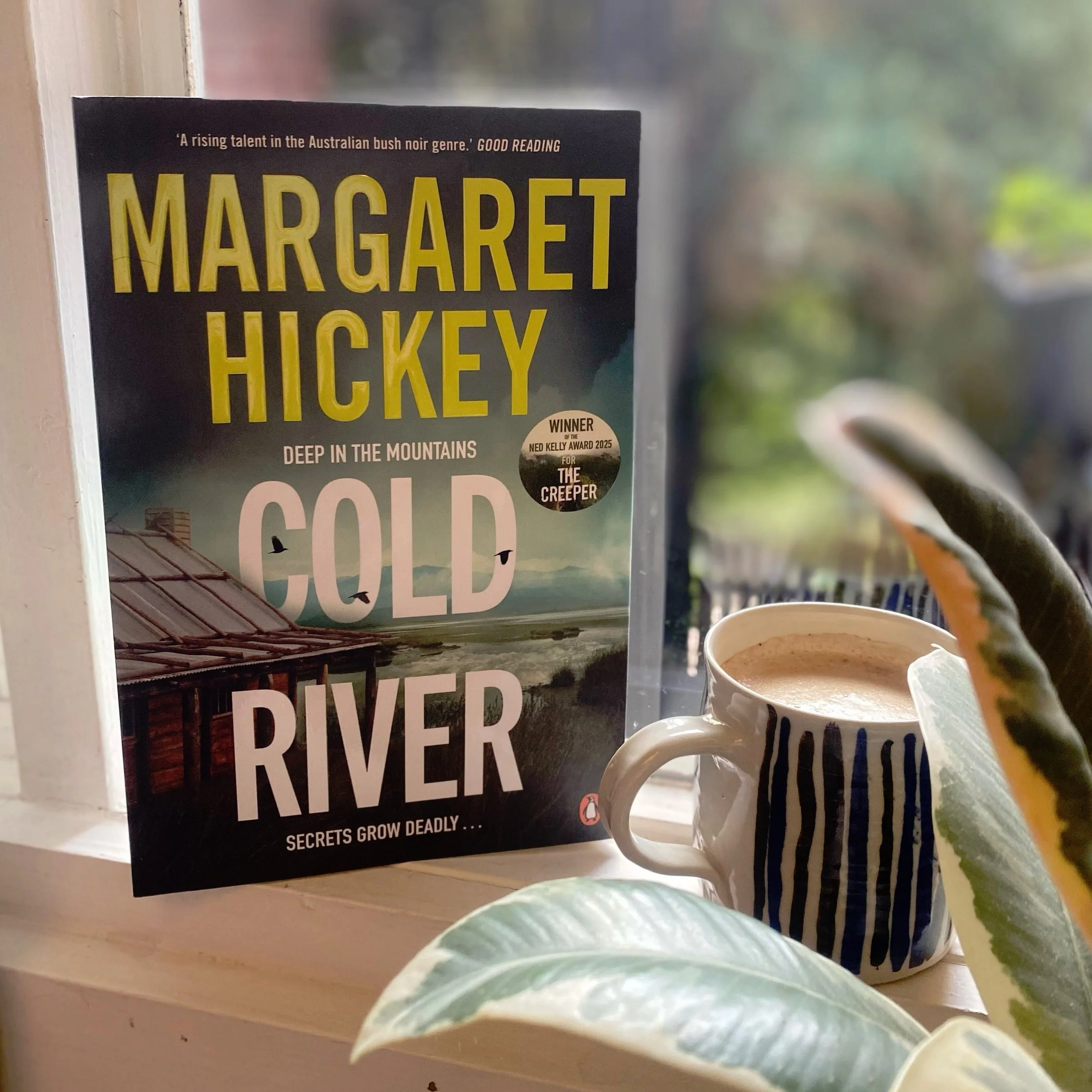 What We&rsquo;re Reading | Cold River by Margaret Hickey

Several of our staff are currently getting stuck into Cold River, the latest mystery from bestselling crime writer Margaret Hickey. Intelligent, thrilling, with complex characters and an unput