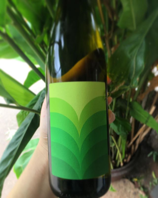 T A S T I N G @range_life_wine Garganega from the King Valley on pour in the Cellar this afternoon. #sundaytasting #clunes #villagelife