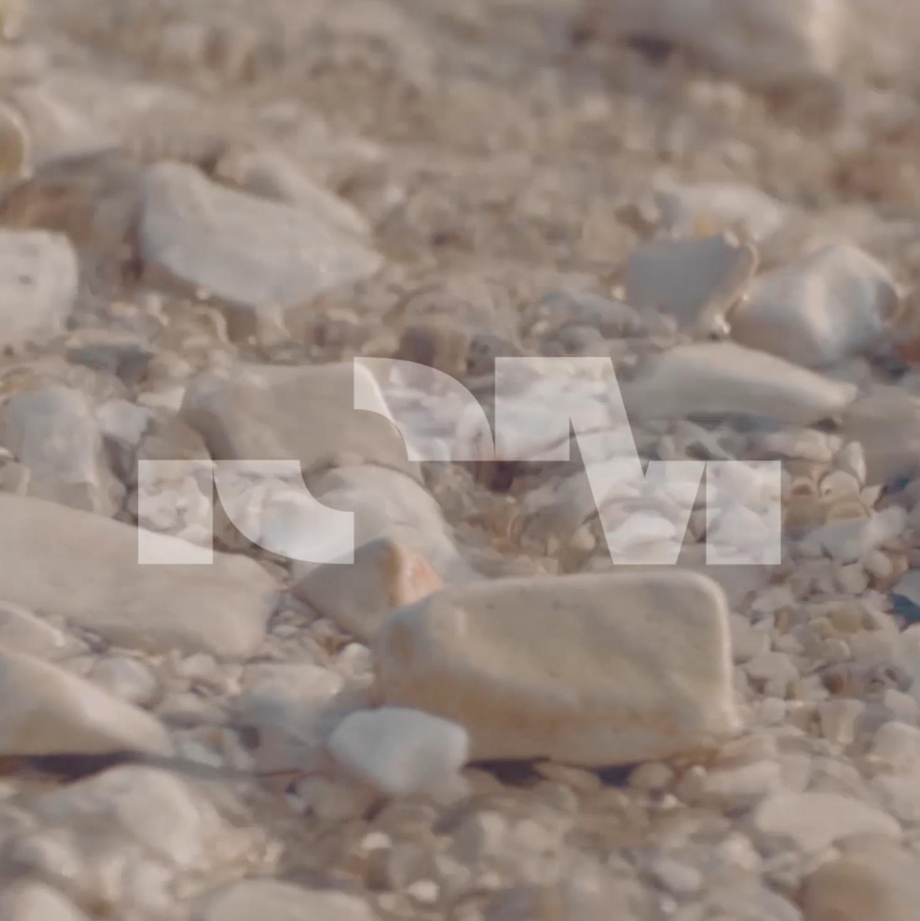 Screen Shot 2019-05-10 at 11.47.20.png