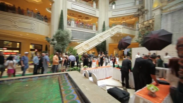 TopSpin2014_1stCut_20140123