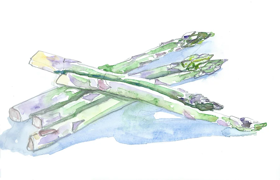 Asparagus, Asperges (Copy) (Copy)