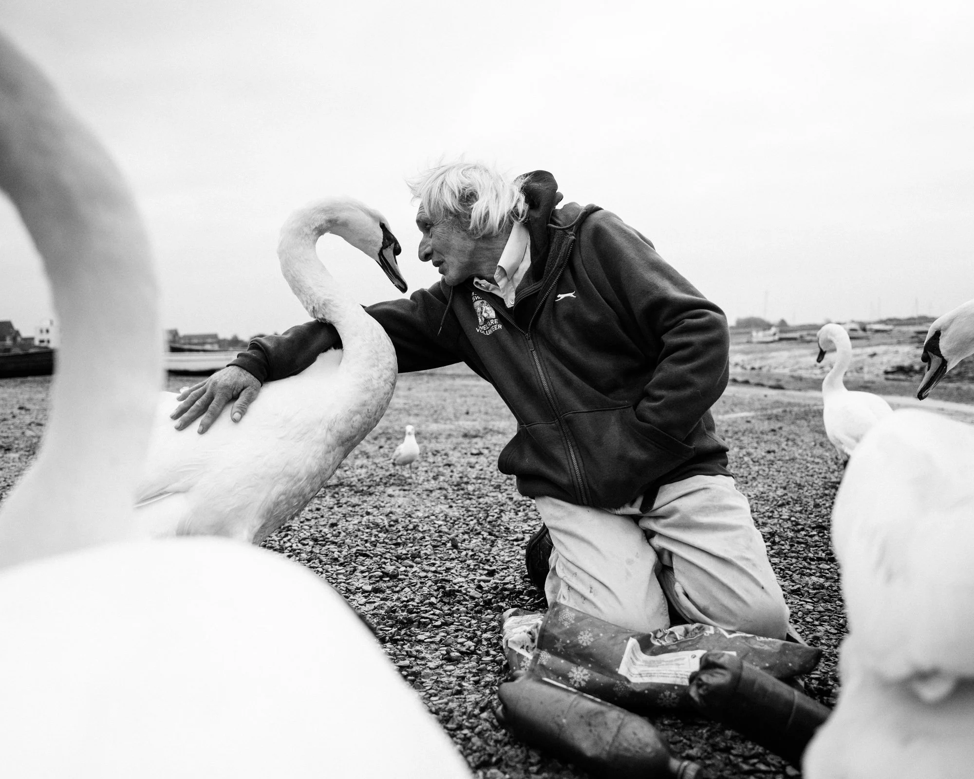 The Swan Man of Emsworth_Stills_Seth Zworestine_003.jpg