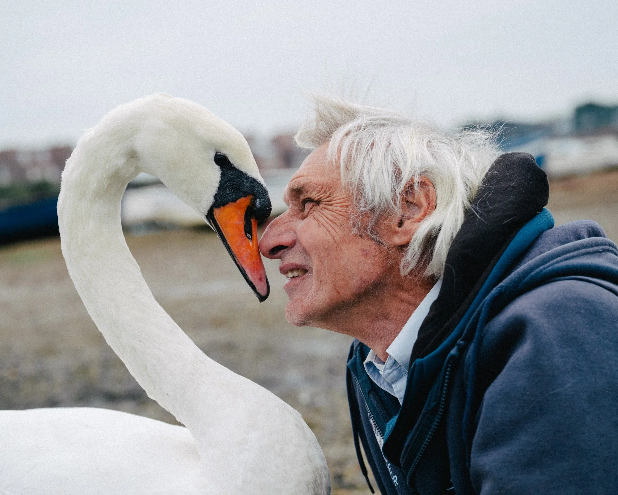 The Swan Man of Emsworth_Stills_Seth Zworestine_007.jpg