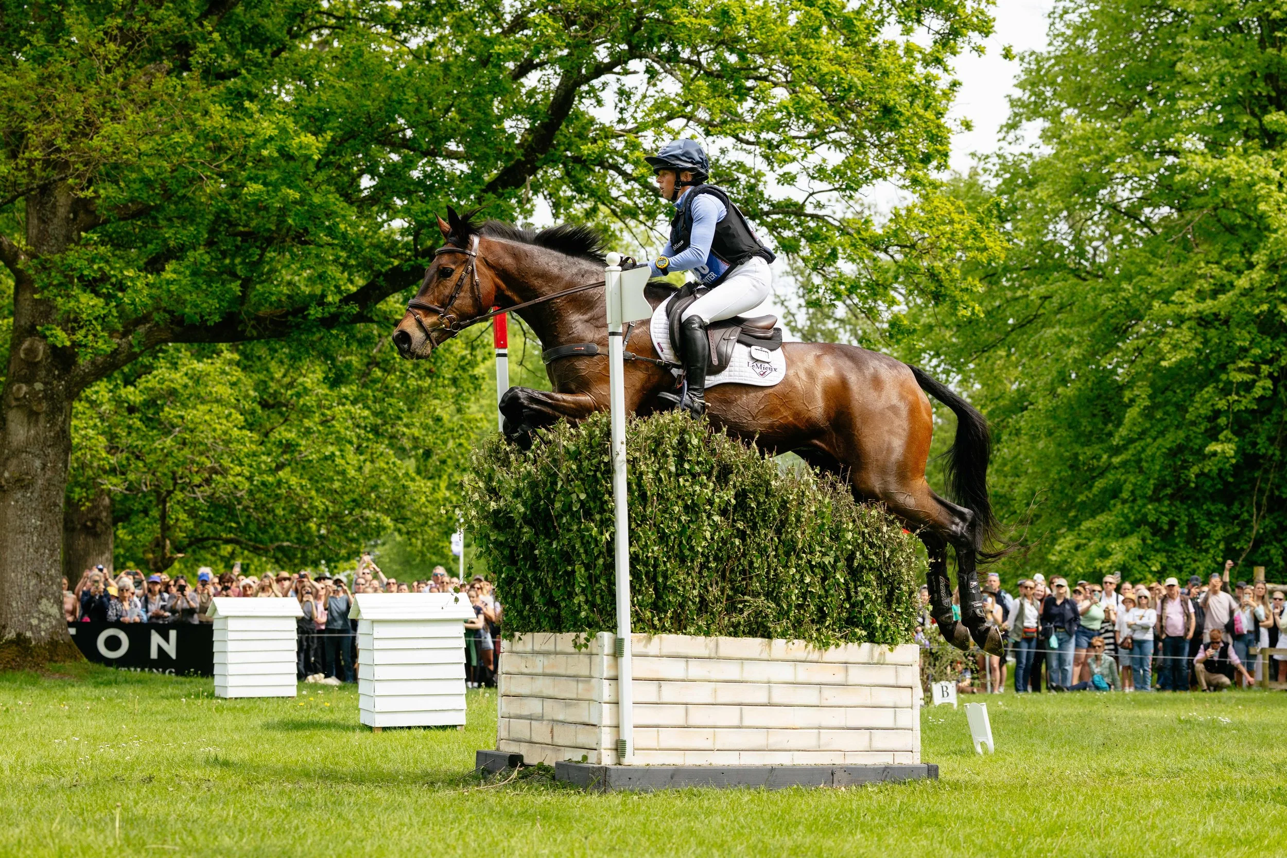  Ros Canter and Lordships Graffalo at Badminton Horse Trials 2026 