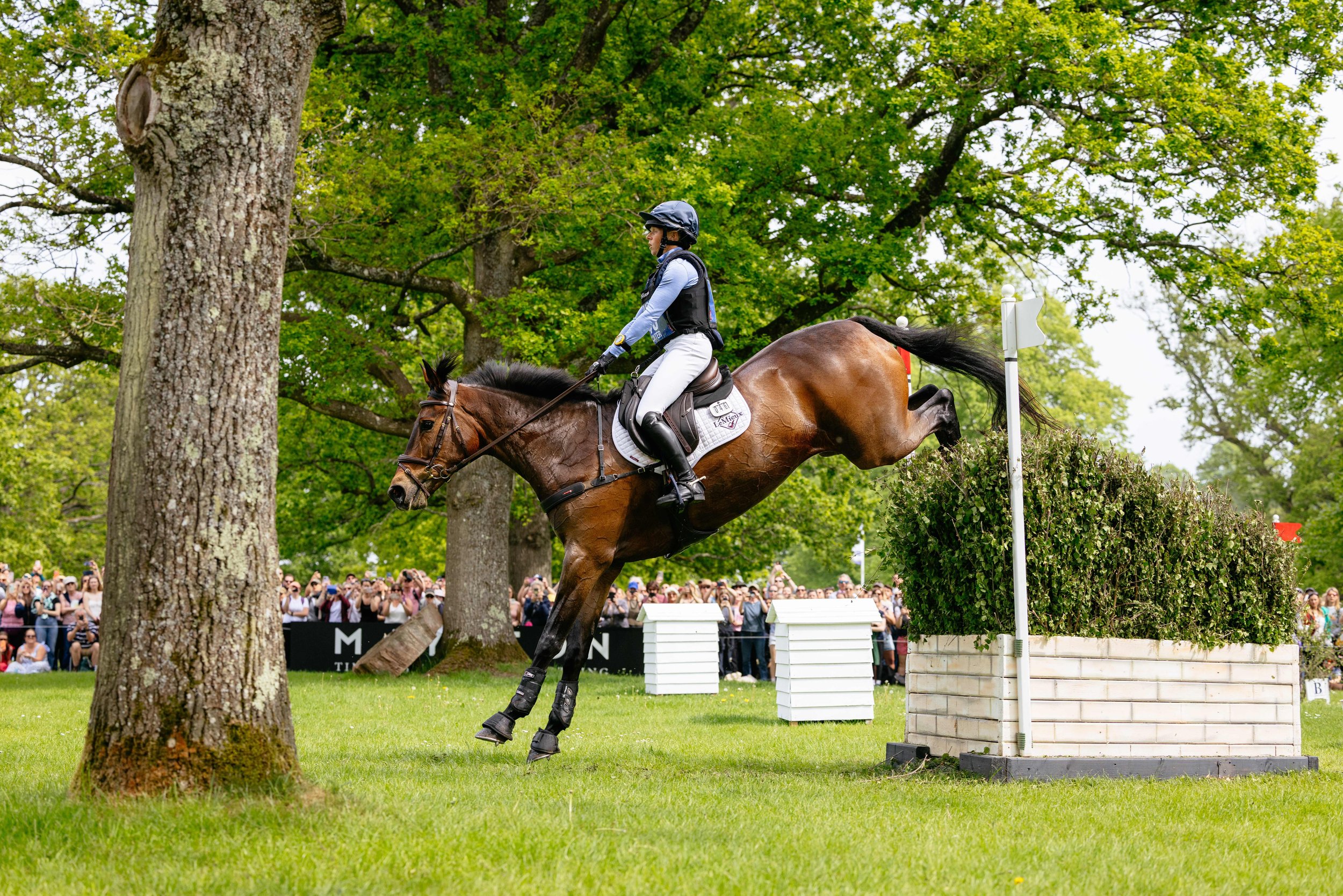  Ros Canter and Lordships Graffalo at Badminton Horse Trials 2026 