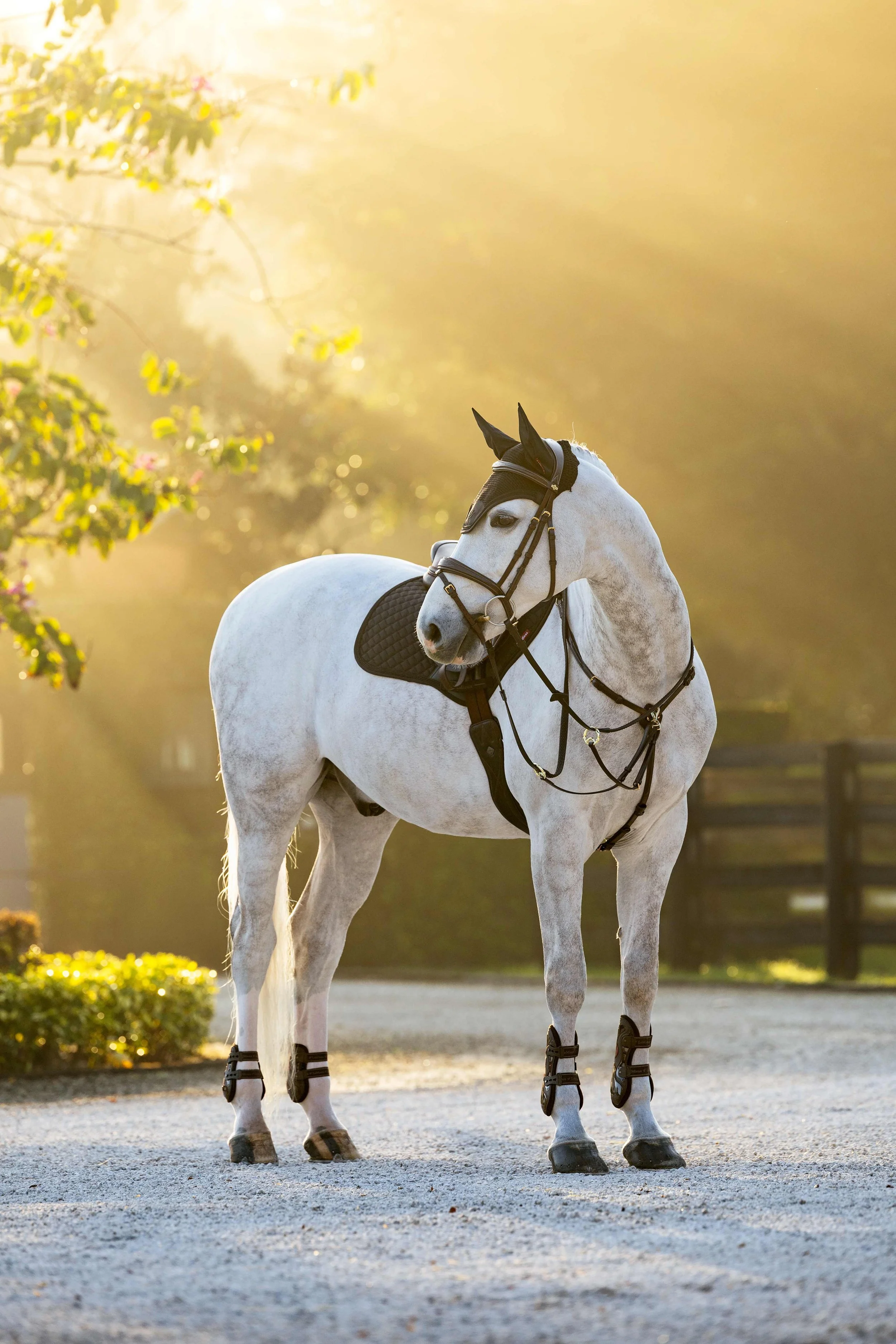 IT08958_lifestyle_brillianceflyhood_black_02.jpg