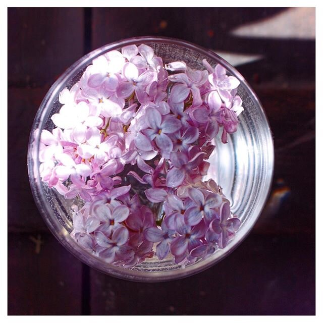 Lilac-infused flower water is thought to calm and lift the spirit. Our head of comms Sally simply washed some lilac flowers and left them to steep for three hours to make a cold infusion. The finished liquid has a delicate fragrant taste and beautiful scent.