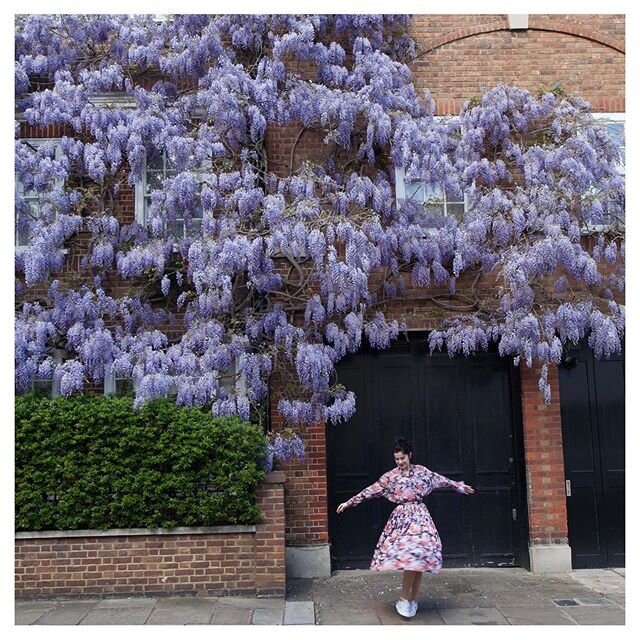 At this time of year our beautiful neighbourhood of South Kensington is filled with generous, trailing blooms of wisteria with their sweet, uplifting scent. There&rsquo;s something about the blossoms of spring that nourishes the soul and starts to fill the mind with positive ideas and thoughts. What&rsquo;s your favourite spring flower? p.s. tune into @gazelliwellbeing here on Instagram, at 11am BST tomorrow (Tuesday) when our founder @jamila__gaze will be taking live to cosmetics industry legend @traceylwoodward about what&rsquo;s next...