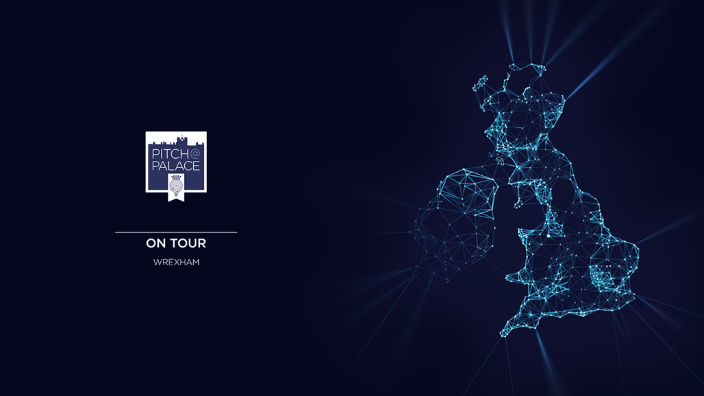 We've been invited to Pitch At The Palace - July 11th