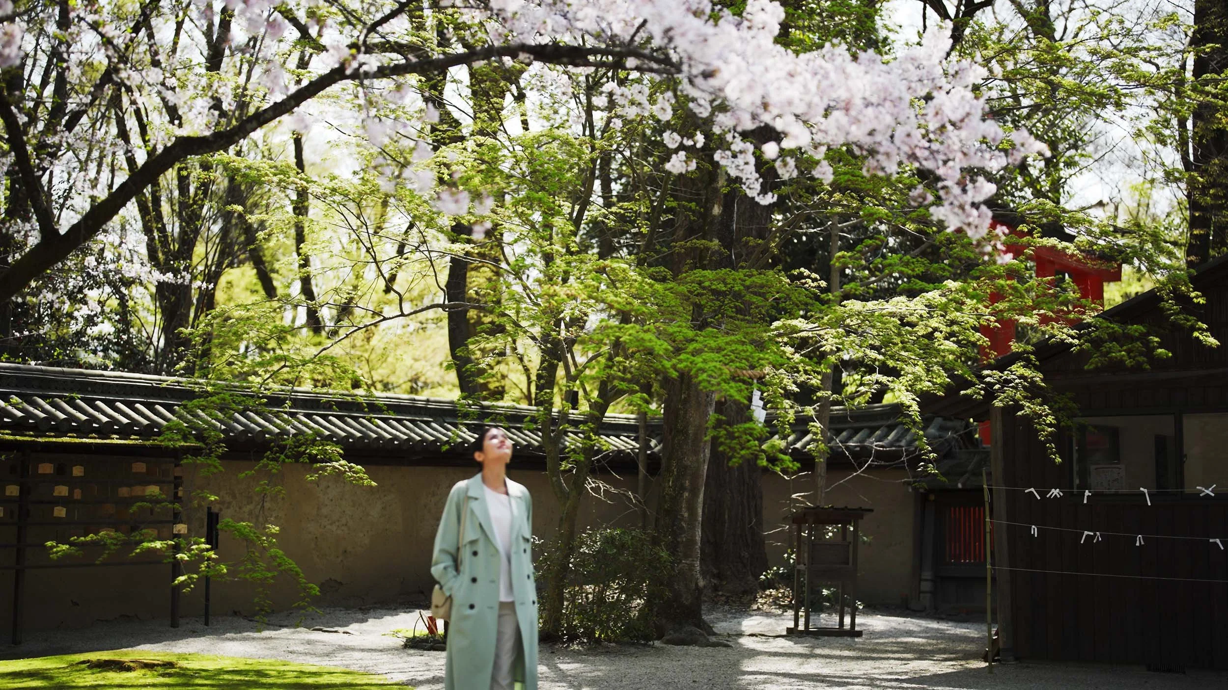 Director-DOP-filmmaker-Japan-37 (4).jpg
