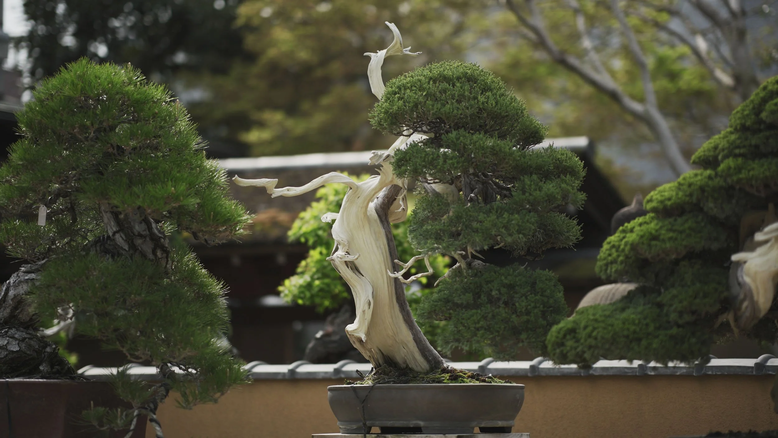 Brand-Video-Producton-Tokyo-Japan-Meta-034.jpg