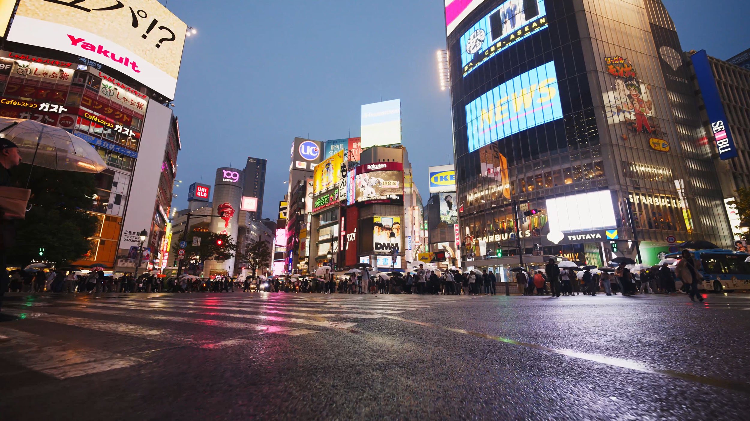 Brand-Video-Producton-Tokyo-Japan-Asana_044.jpg