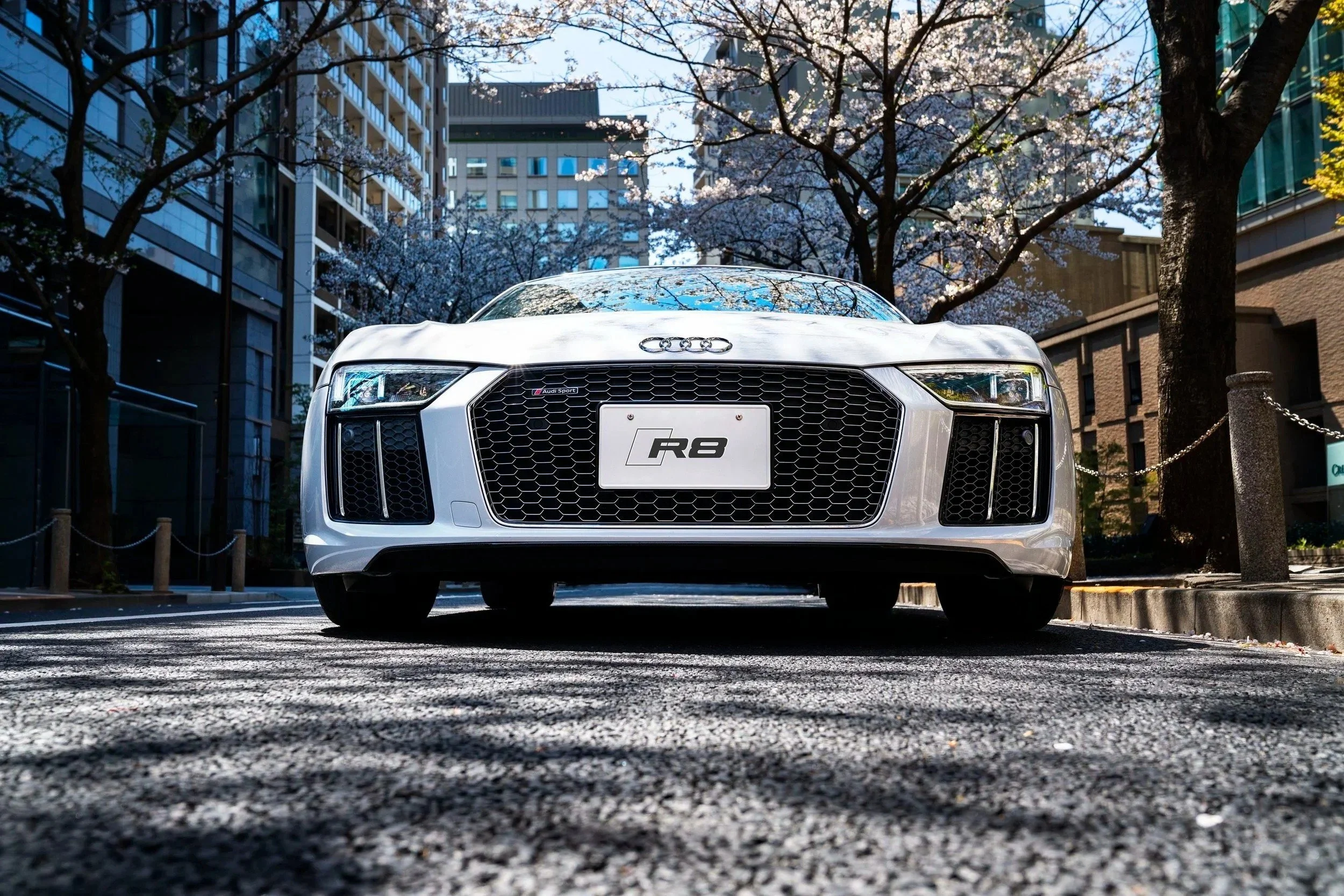 Audi R8 car photography on a Tokyo street lined with cherry blossom