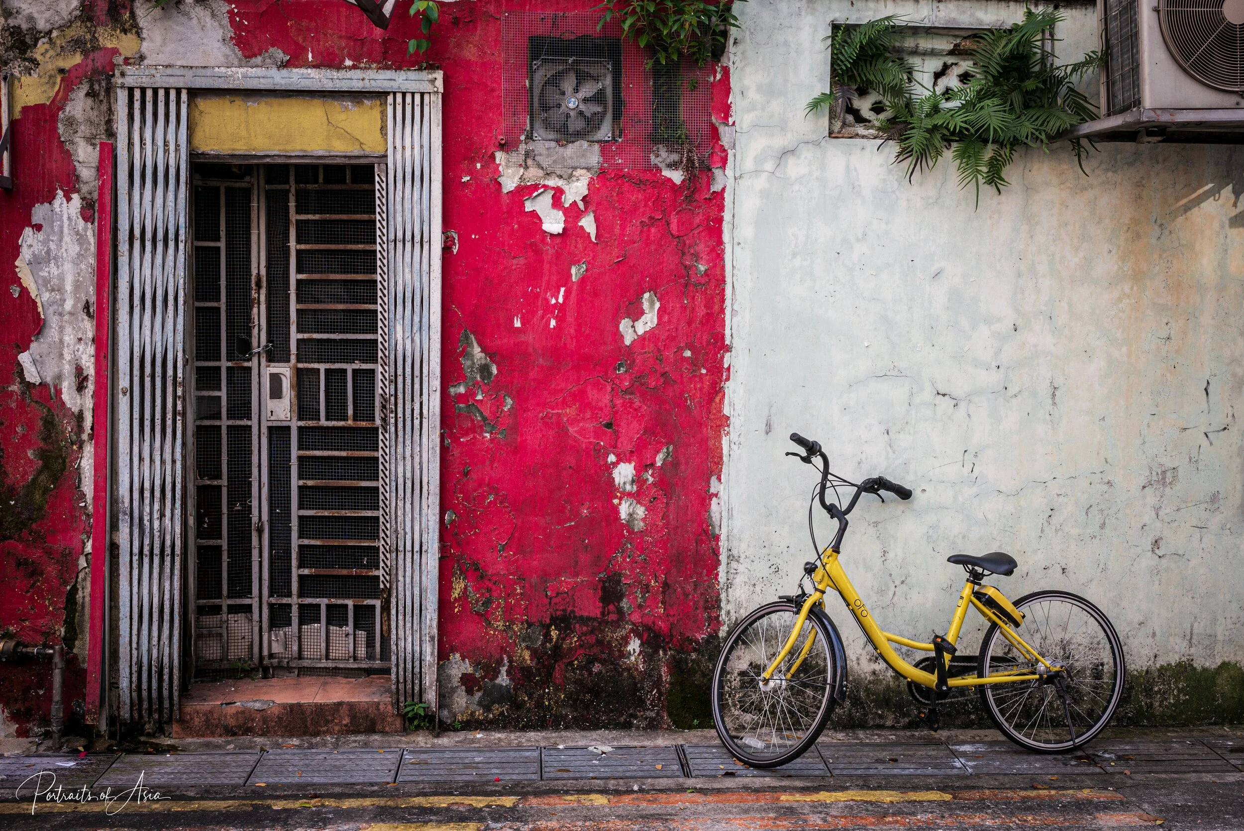 Street Photography
