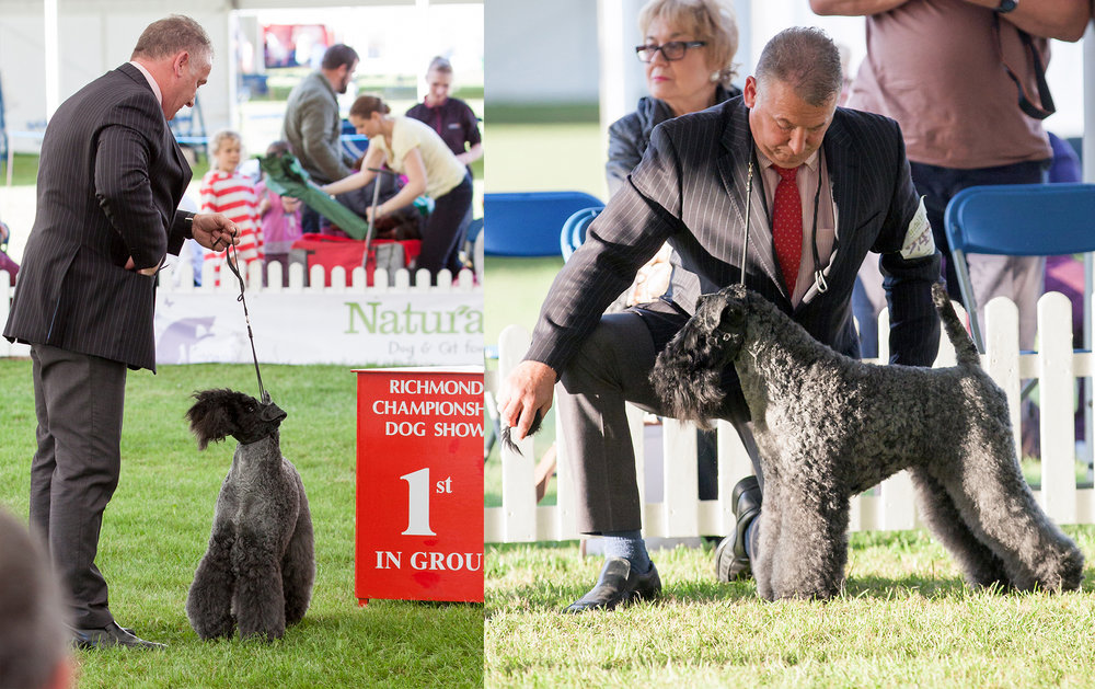 RICHMOND CHAMPIONSHIP DOG SHOW