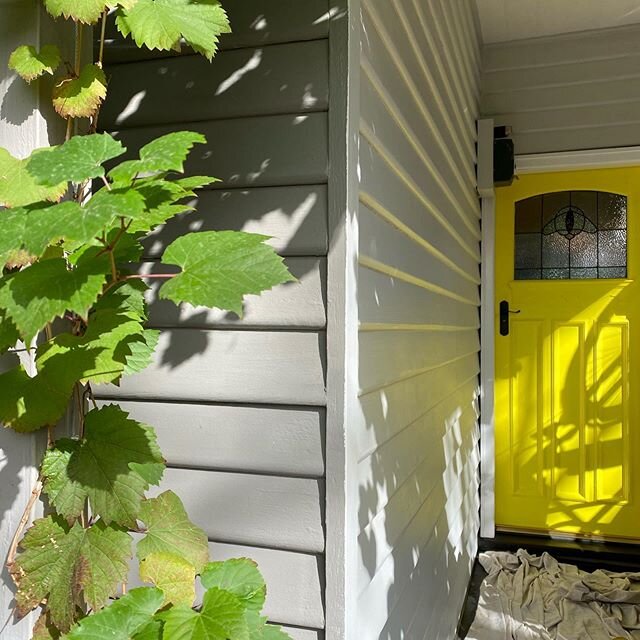 #isolationpainting has begun. I have been wanting to repaint the exterior of our house for ages, and what better time than isolation! Turning lemons into lemonade. New colour is Spatial by @haymespaint already looking fresh with the first coat and still compliments my yellow front door. Anyone else have a DIY project to keep you busy?